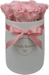Pudroworóżowe wieczne róże biały flower box Mini