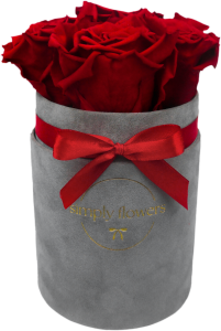 Czerwone wieczne róże szary flower box Mini