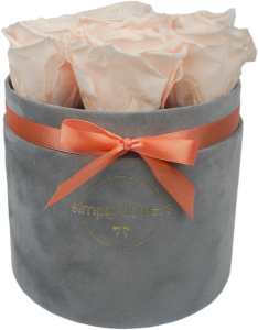 Herbaciane wieczne róże szary flower box Midi 
