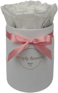 Białe wieczne róże biały flower box Mini