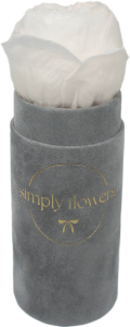 Piwonia szary  flower box  Petit 