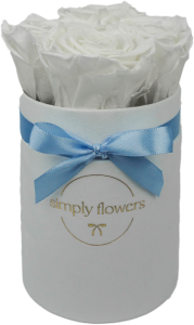 Białe wieczne róże biały flower box Mini