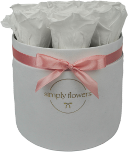 Białe wieczne róże biały flower box Midi