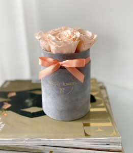 Herbaciane wieczne róże szary flower box Mini 