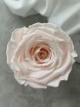 Simply flowers  (57).jpeg