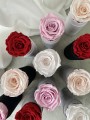 Simply flowers (22).jpeg