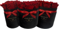 SIMPLY FLOWERS  (75).png