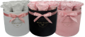 SIMPLY FLOWERS  (73).png