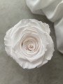 Simply flowers  (31).jpeg