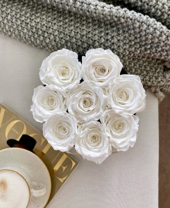 Białe wieczne róże szary flower box Midi
